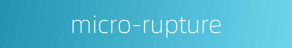 micro-rupture的同义词