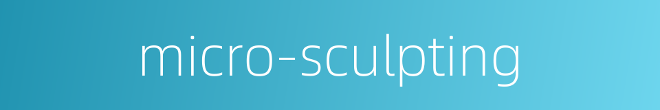 micro-sculpting的同义词