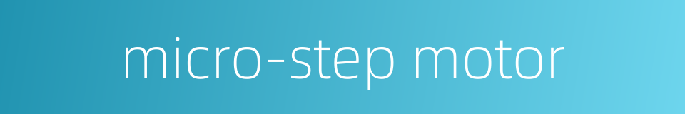 micro-step motor的同义词