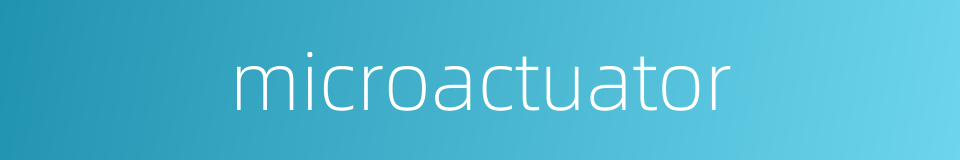 microactuator的同义词