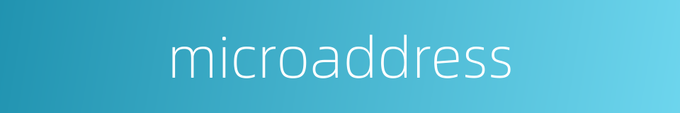 microaddress的同义词
