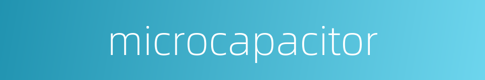 microcapacitor的同义词
