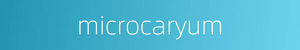 microcaryum的同义词