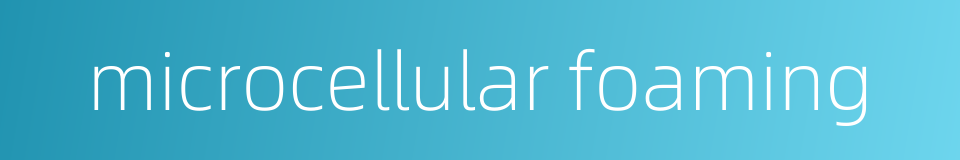 microcellular foaming的同义词