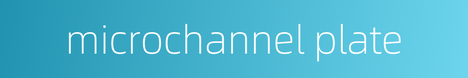microchannel plate的同义词