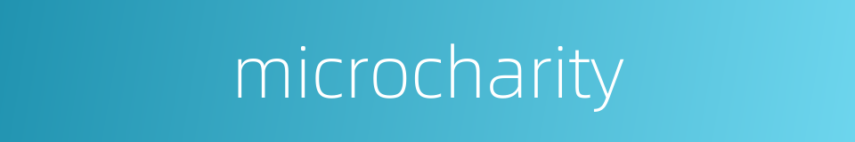 microcharity的同义词