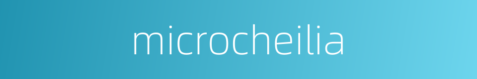 microcheilia的同义词