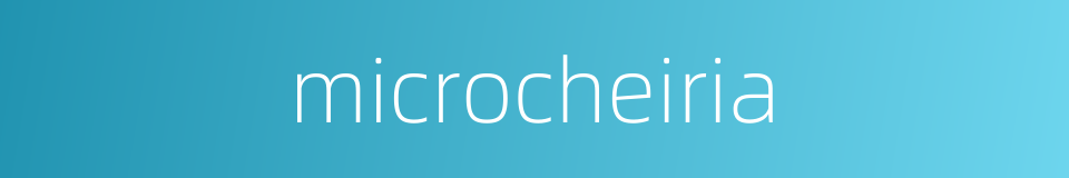 microcheiria的同义词