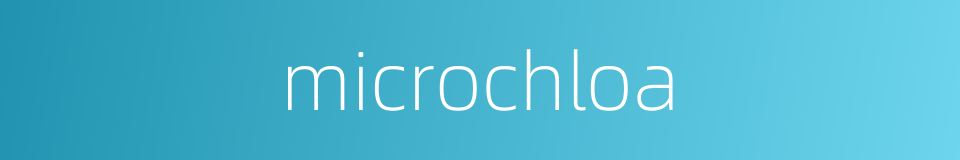 microchloa的同义词
