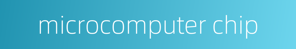 microcomputer chip的同义词