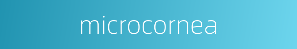 microcornea的同义词