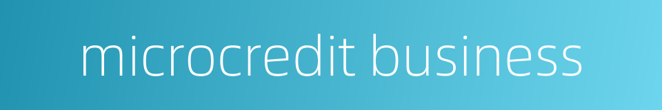 microcredit business的同义词