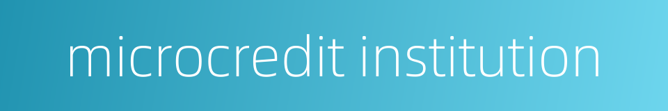 microcredit institution的同义词