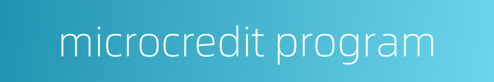 microcredit program的同义词