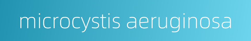 microcystis aeruginosa的同义词