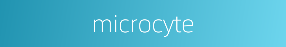 microcyte的同义词