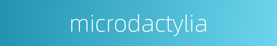 microdactylia的同义词
