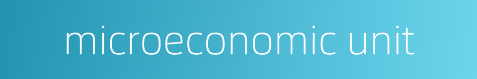 microeconomic unit的同义词