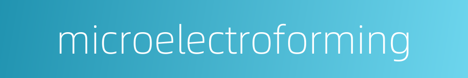 microelectroforming的同义词