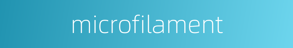 microfilament的同义词