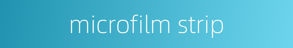 microfilm strip的同义词