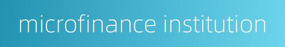 microfinance institution的同义词