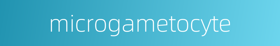 microgametocyte的同义词