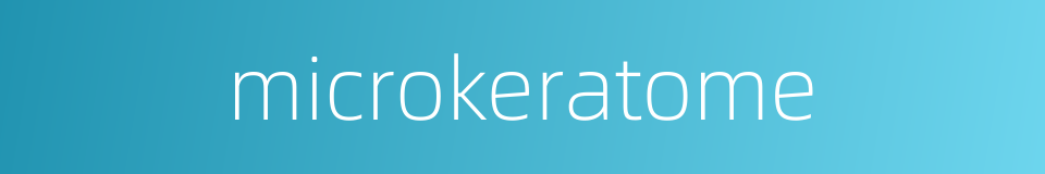 microkeratome的同义词
