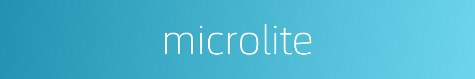 microlite的同义词