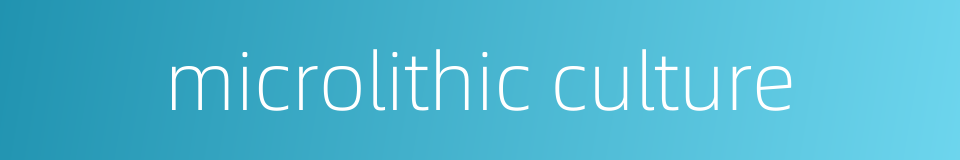 microlithic culture的同义词