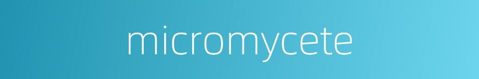 micromycete的同义词