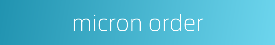 micron order的同义词