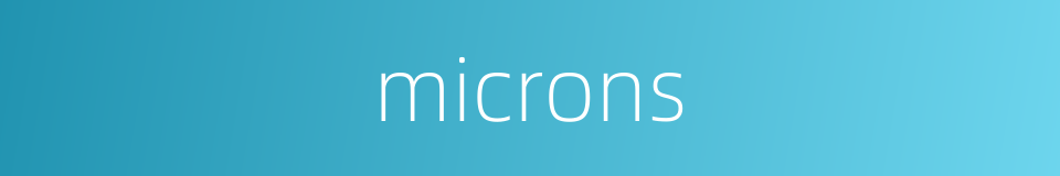 microns的同义词