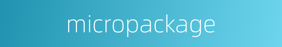 micropackage的同义词