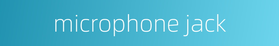 microphone jack的同义词