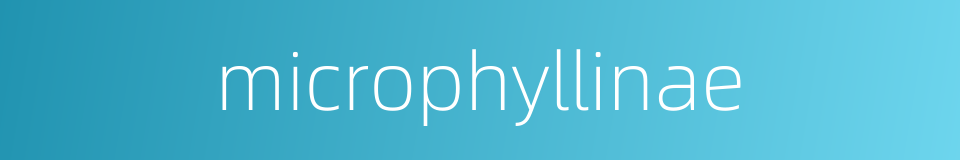 microphyllinae的同义词