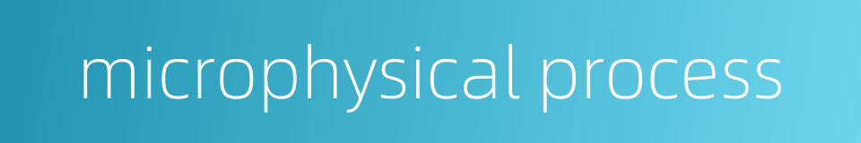 microphysical process的同义词