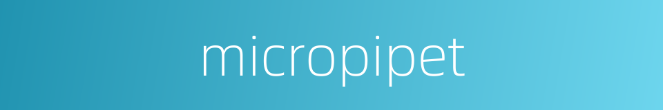 micropipet的同义词