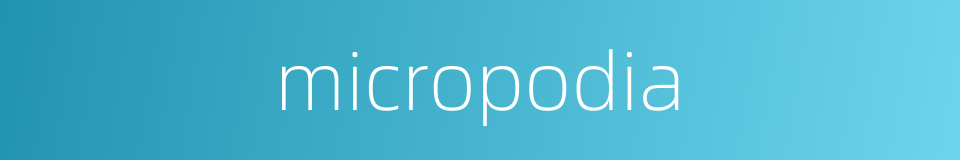 micropodia的同义词