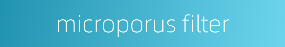 microporus filter的同义词