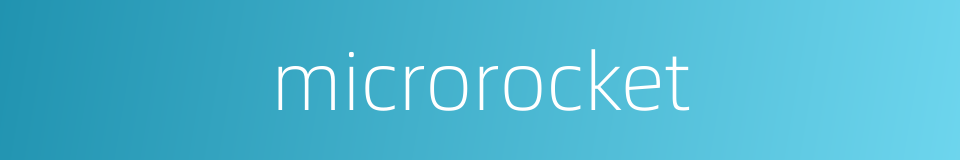 microrocket的同义词