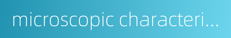 microscopic characteristics的同义词