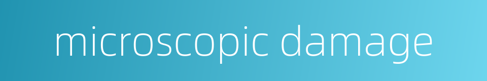 microscopic damage的同义词