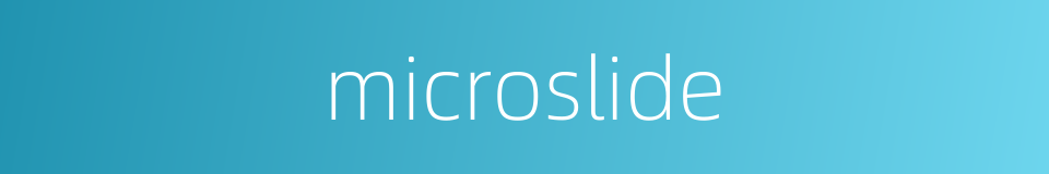 microslide的同义词