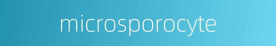 microsporocyte的同义词