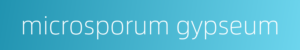 microsporum gypseum的同义词