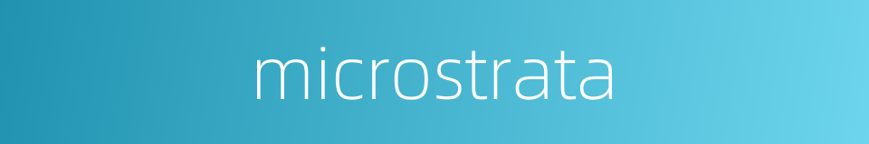 microstrata的同义词