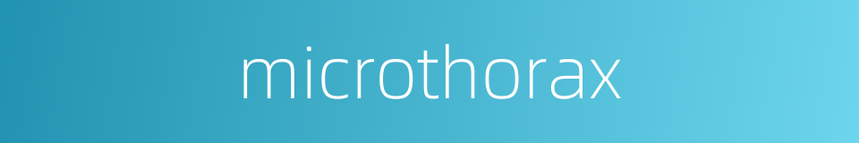 microthorax的同义词