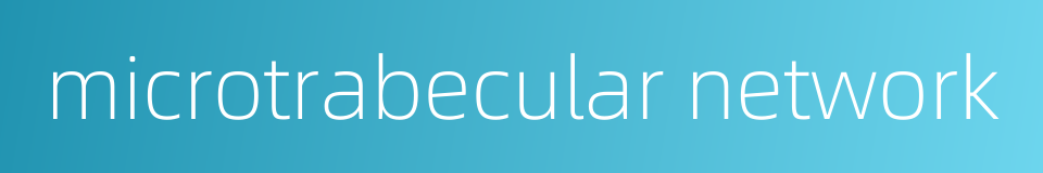 microtrabecular network的同义词