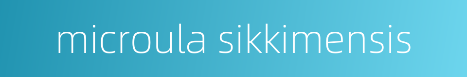 microula sikkimensis的同义词